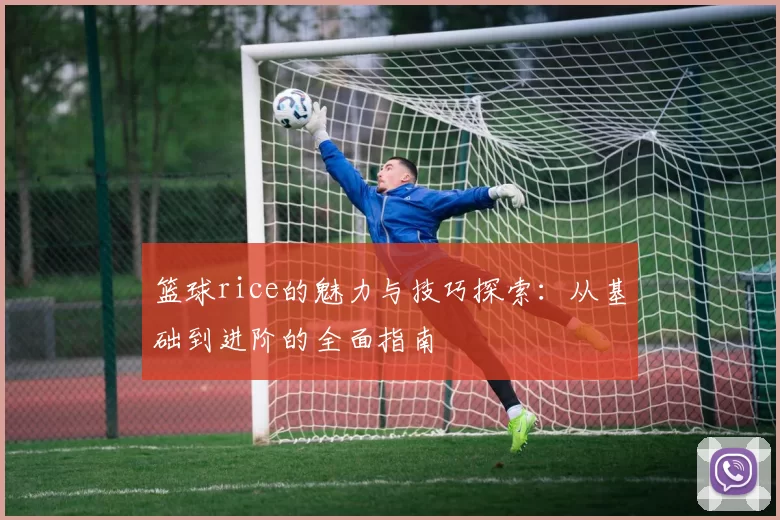 篮球rice的魅力与技巧探索：从基础到进阶的全面指南