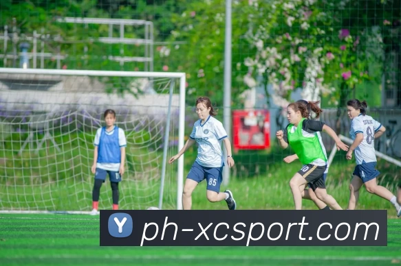 杏彩体育发展历程